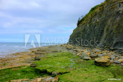 Bild på Falaises de port en bessin 